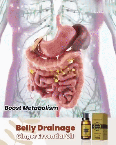 Ginger essential oil firming slim Belly Massage Oil Toning liquid Abdominal toning massage essential oil | Huile de massage, Massage ventre, Huile essentielle de gingembre