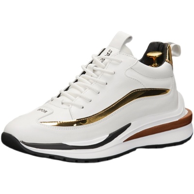 Men's winter sneakers with added lining and increased height, thick-soled for sports and leisure