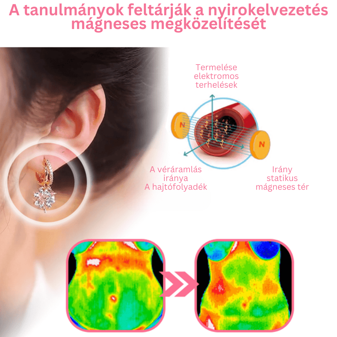 flysmus™ Lymphvity MagneTherapy Germánium Fülbevalók