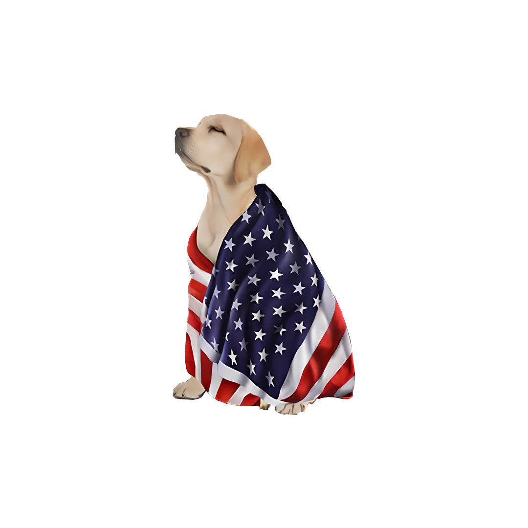 Labrador US National Flag Sticker