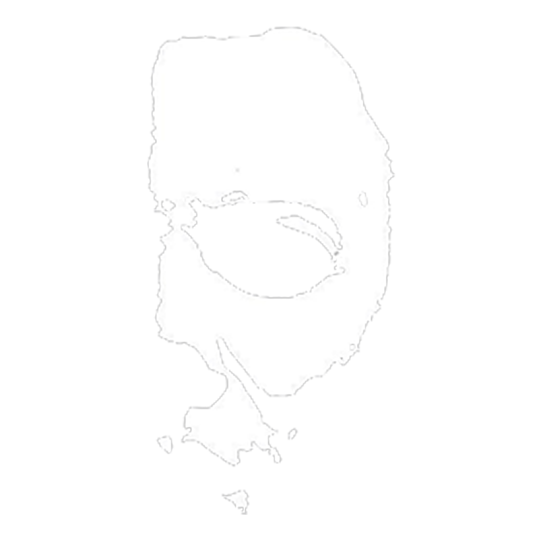 Half Face Halloween Sticker