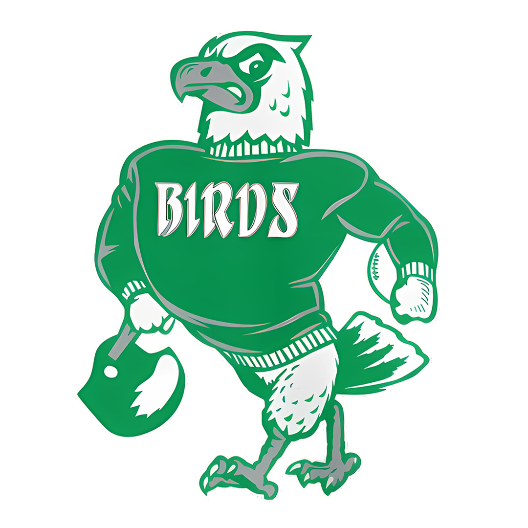 GO BIRDS Angry Eagle Sticker