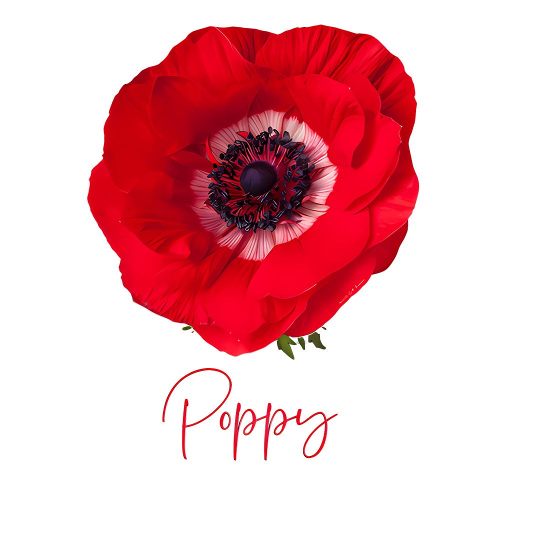 Lest We Forget Red Poppy Memorial Sticker