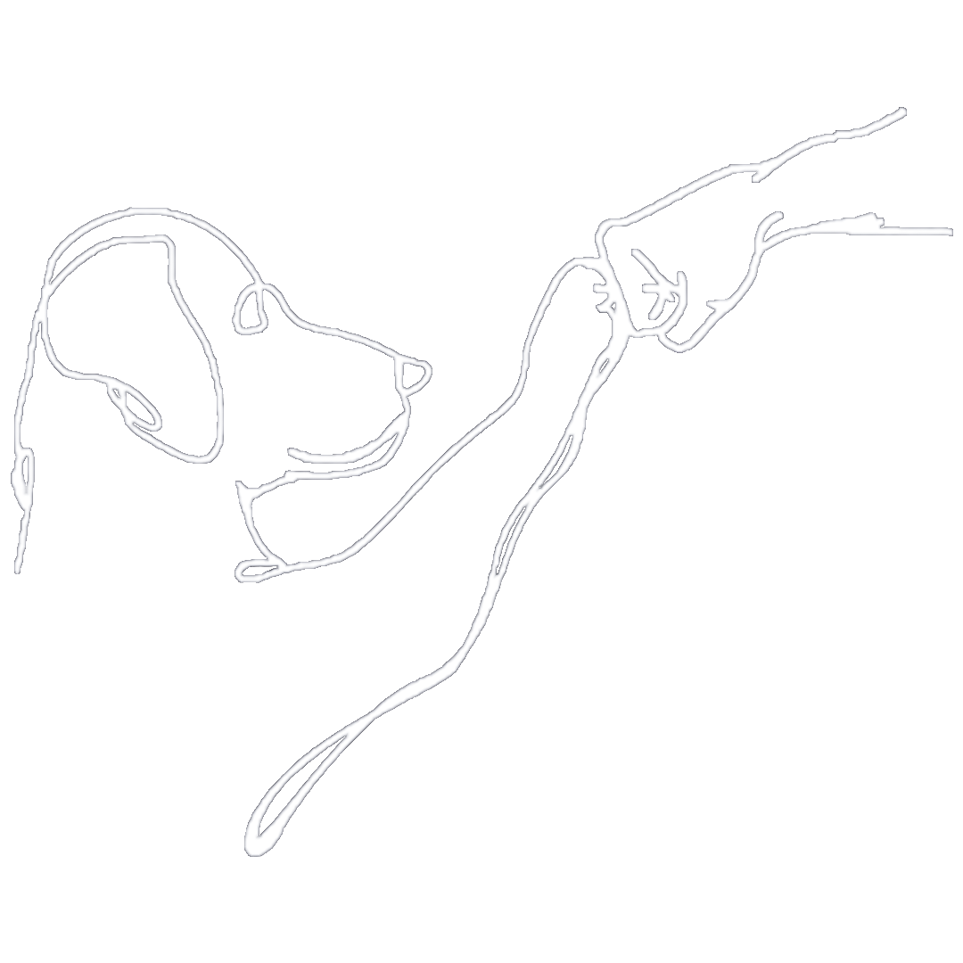 Fist Bump With Dog Sticker