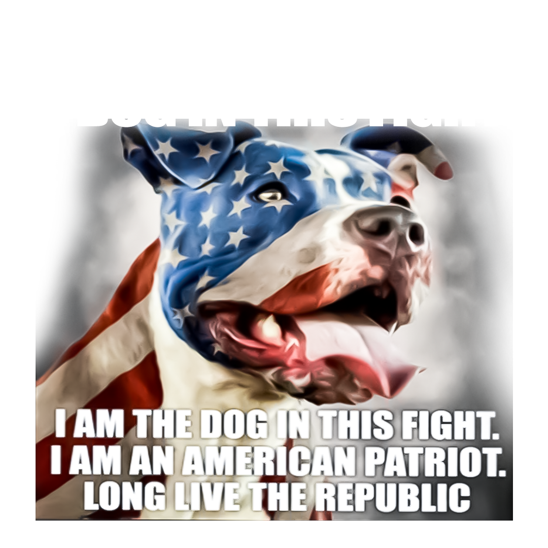 A Dog In This Fight Veteran Sticker