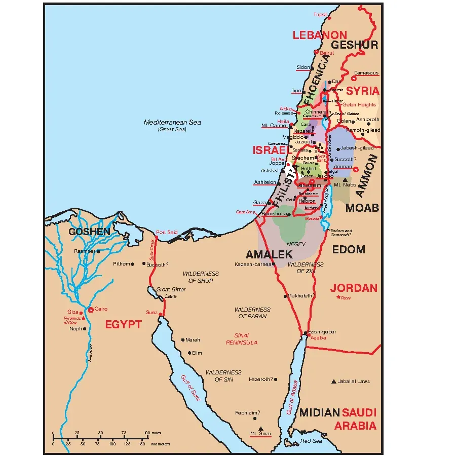 🔥Last Day70% off🔥10th Anniversary Edition Bible Charts, Maps and Time Lines（Spiral-Bound）