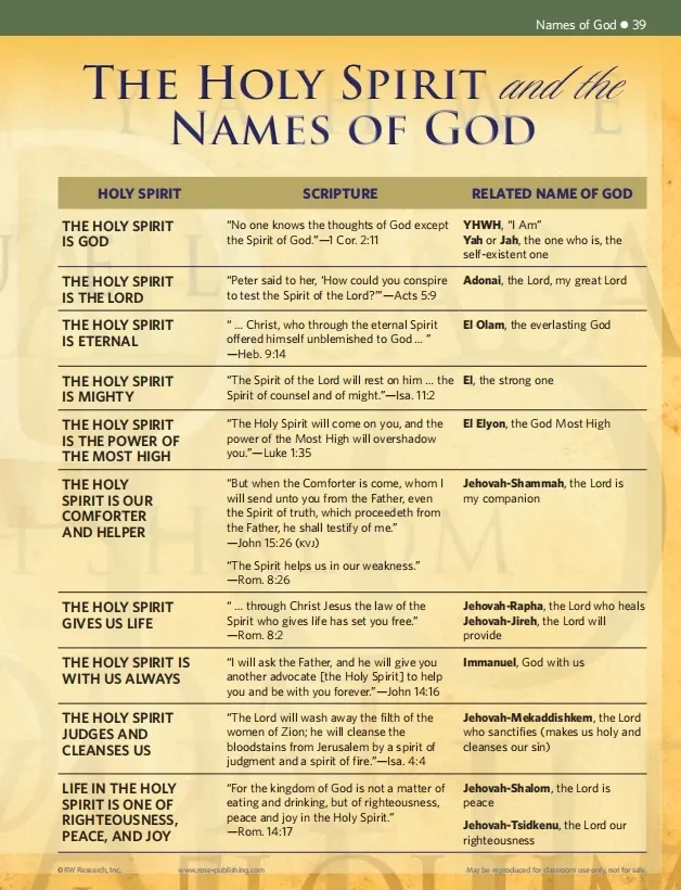 🔥Last Day70% off🔥10th Anniversary Edition Bible Charts, Maps and Time Lines（Spiral-Bound）