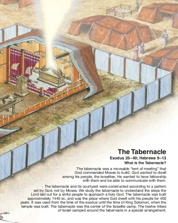 🔥Last Day70% off🔥10th Anniversary Edition Bible Charts, Maps and Time Lines（Spiral-Bound）