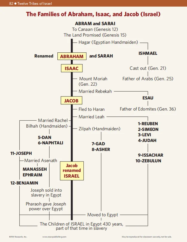 🔥Last Day70% off🔥10th Anniversary Edition Bible Charts, Maps and Time Lines（Spiral-Bound）