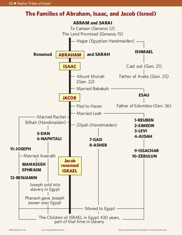 🔥Last Day70% off🔥10th Anniversary Edition Bible Charts, Maps and Time Lines（Spiral-Bound）