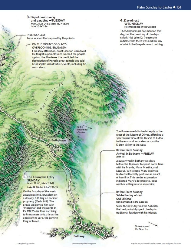 🔥Last Day70% off🔥10th Anniversary Edition Bible Charts, Maps and Time Lines（Spiral-Bound）