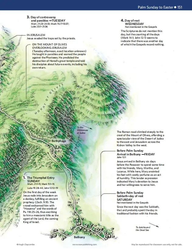 🔥Last Day70% off🔥10th Anniversary Edition Bible Charts, Maps and Time Lines（Spiral-Bound）