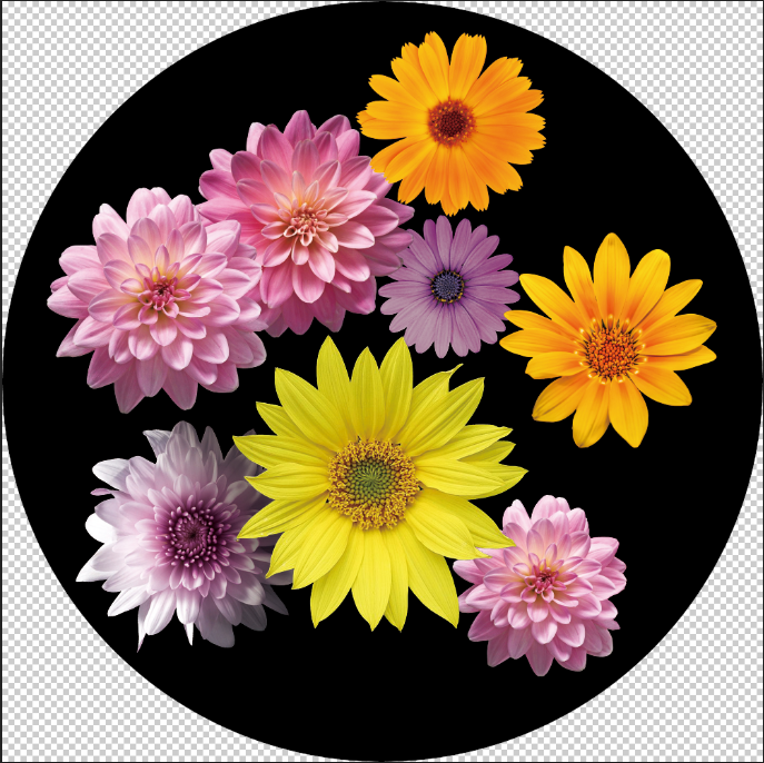 Blooming Cosmos: Gobo Impressions of the Flower Pattern A1-0319