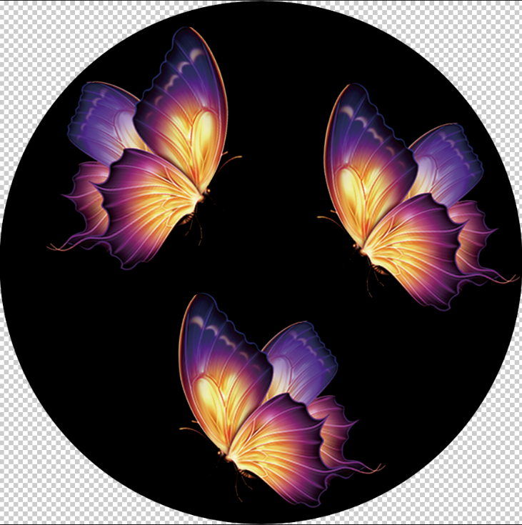 Colorful Butterfly - Custom Glass Gobo Design D1-0028
