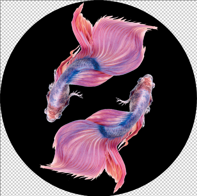 Custom Hot Sale Heat Resistant Full Color Gobo Glass For Projector - Tropical Fish C1-0117