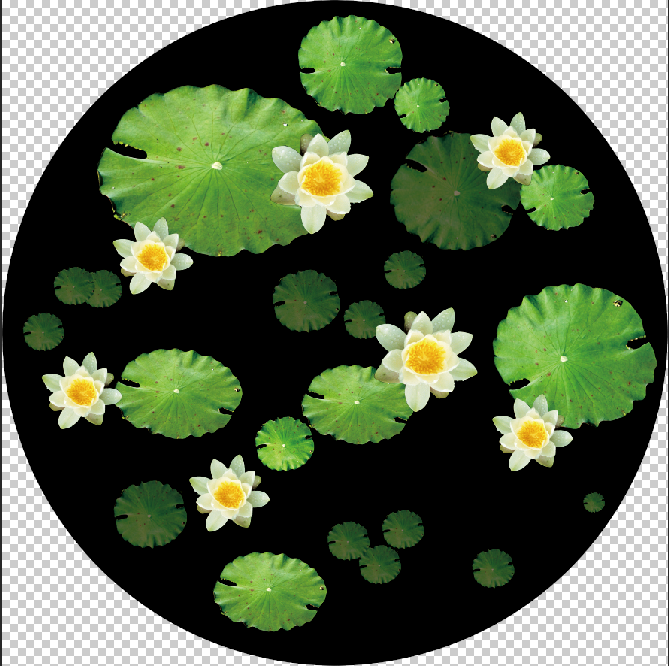 Full Glass Gobos: Custom Water Lily Bloom A2-0001