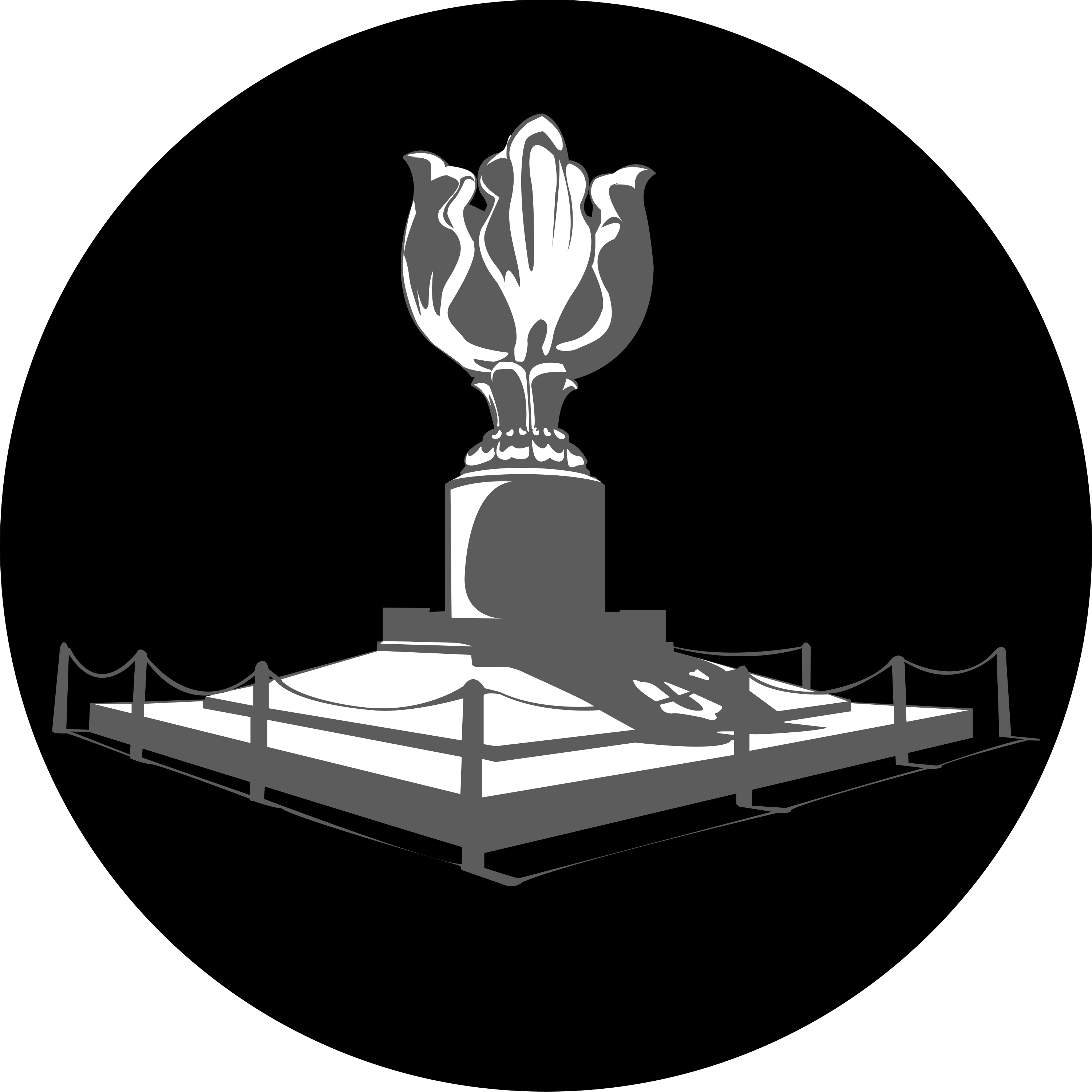 Bauhinia Brilliance: Gobo Portraits of Hong Kong's Iconic Floral Emblem-JINGYU OPTOELEC