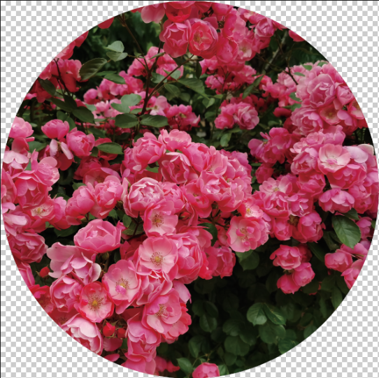 Rose Trellis Gobo: Gobo Impressions of the Flower Pattern A1-0094