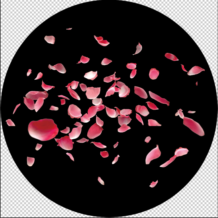 Shower of Pink Roses: Gobo Impressions of the Flower Pattern A1-0248