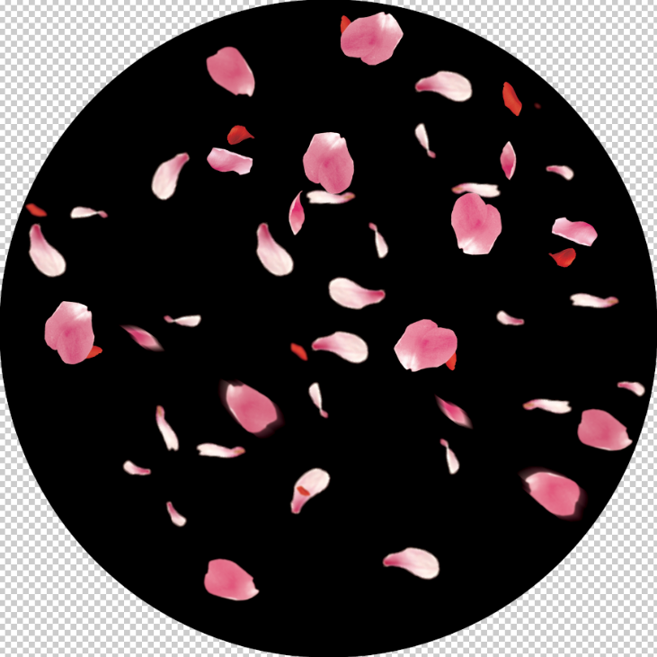 Shower of Roses: Gobo Impressions of the Flower Pattern A1-0129