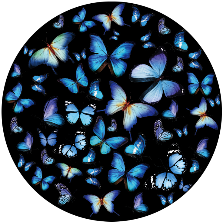 Personalized Dancing Butterfly Pattern Gobo: Customized Elegance in Motion-JINGYU OPTOELEC
