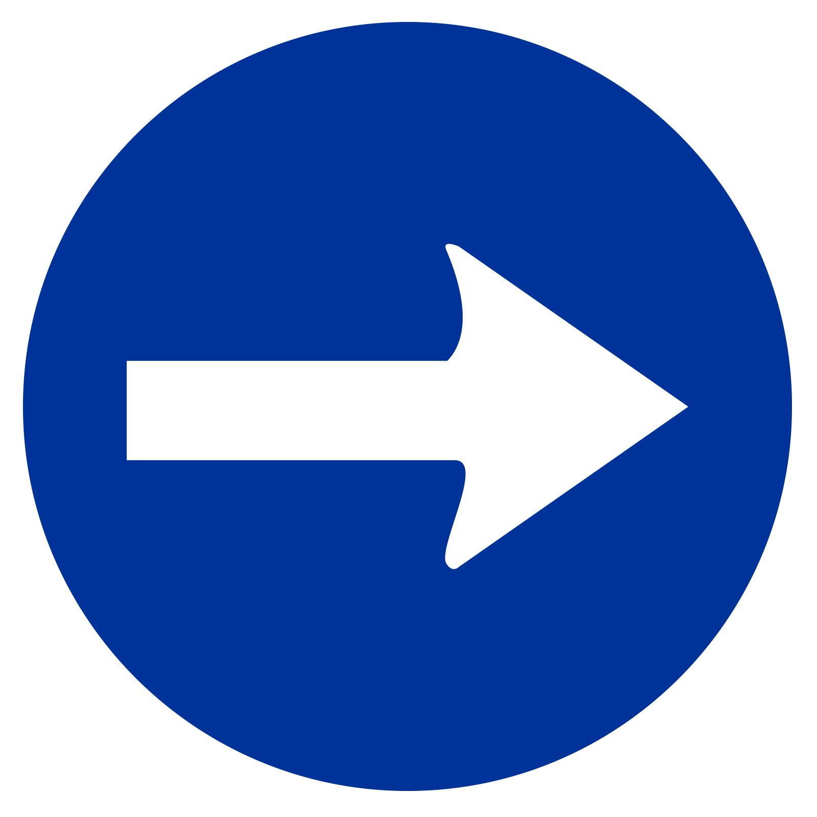 Custom Road Signs Glass Gobo Overtaking Is Only Allowed On The Right فقط عبور به راست مجاز است