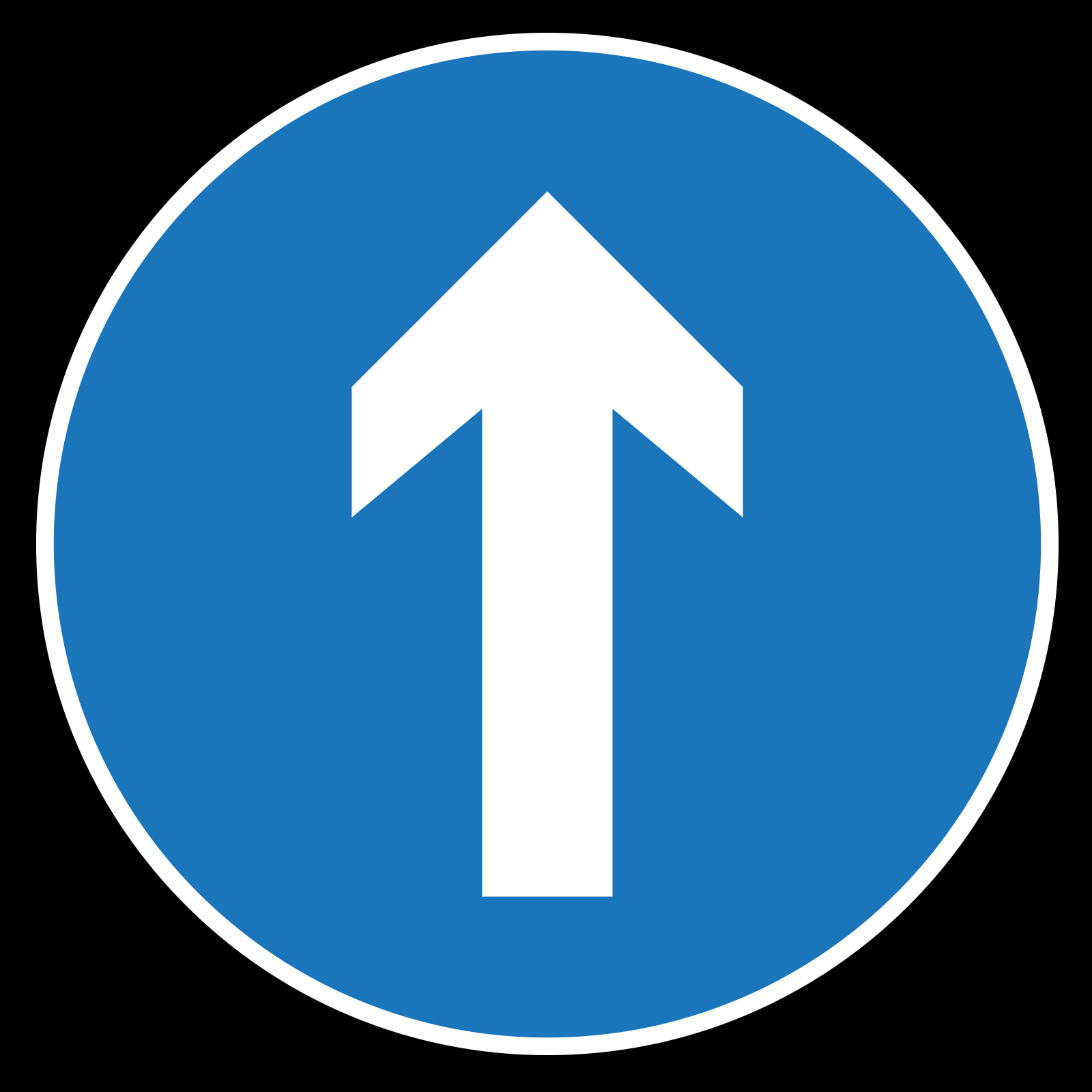 Custom Glass Gobo Road Signs Only Direct Access is Allowed فقط عبور مستقیم مجاز است