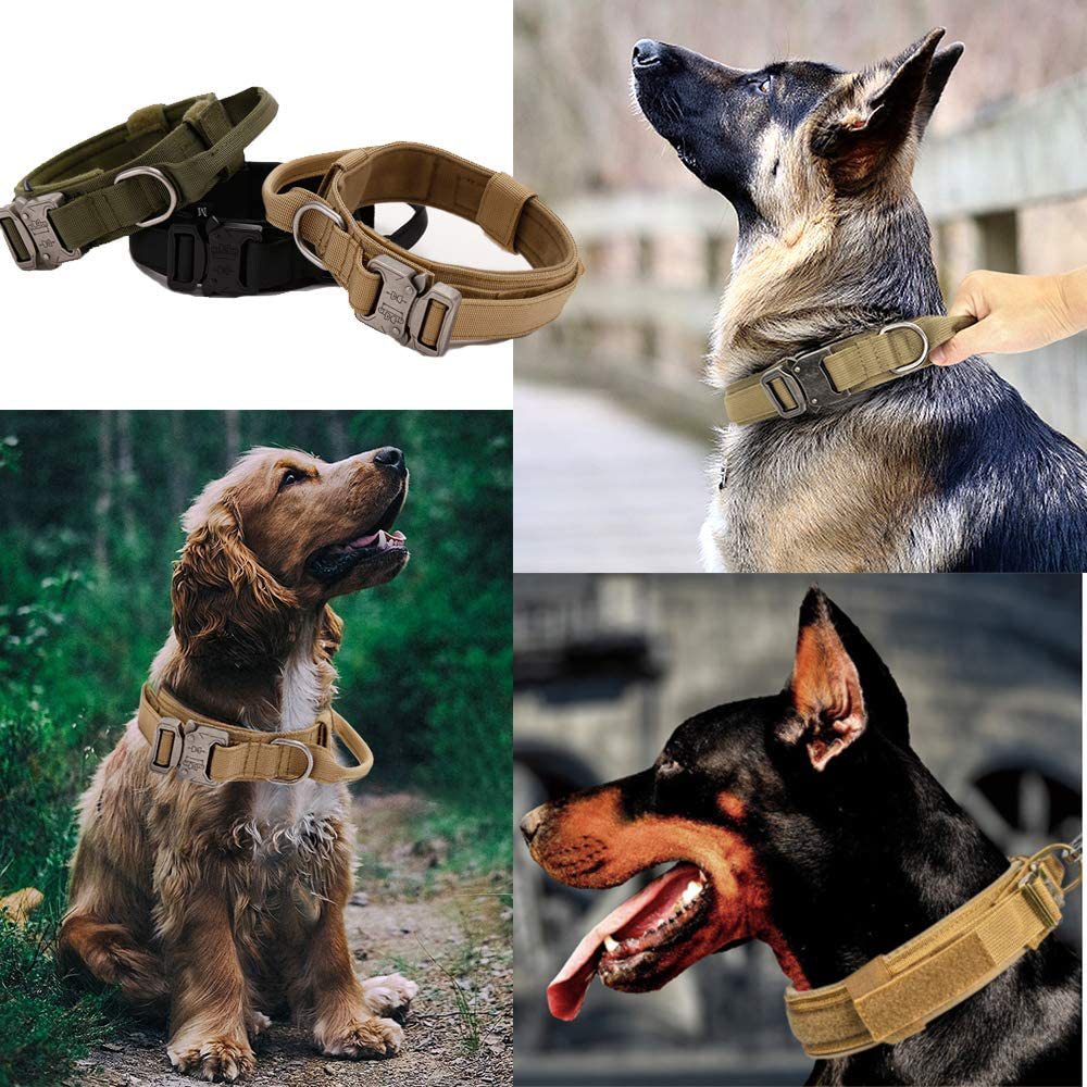 Pet collars