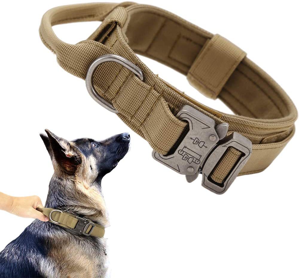 Pet collars
