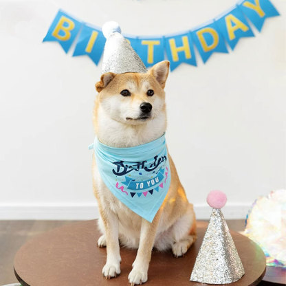 Dog Birthday Bandana Scarf with Hat & Banner Dog Birthday Party Set