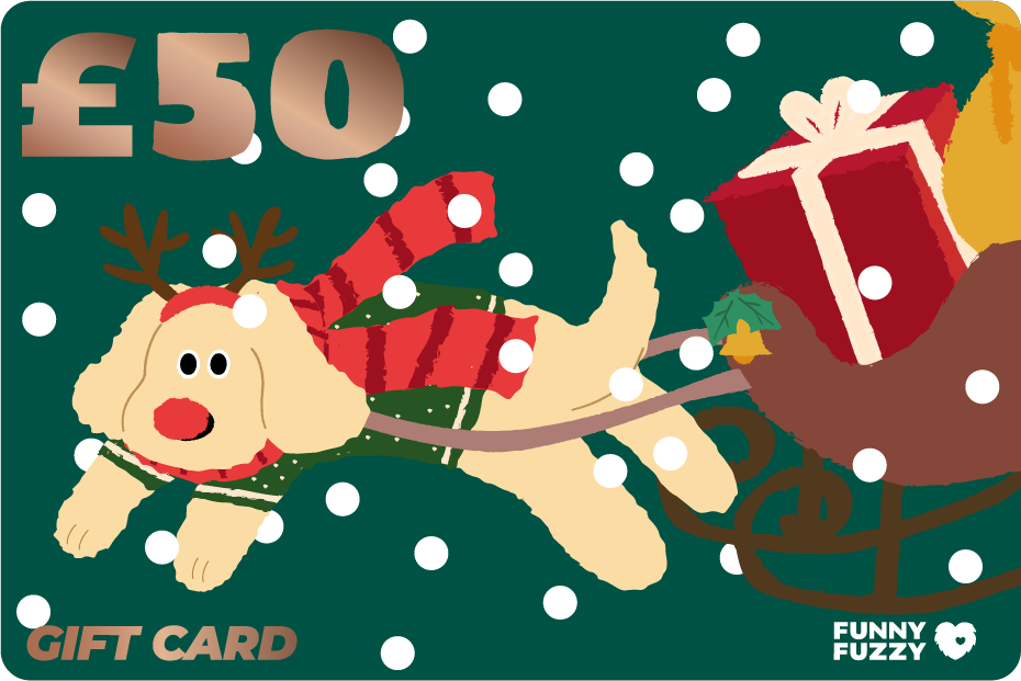 2023 FunnyFuzzy UK Gift Card-FunnyFuzzyUK