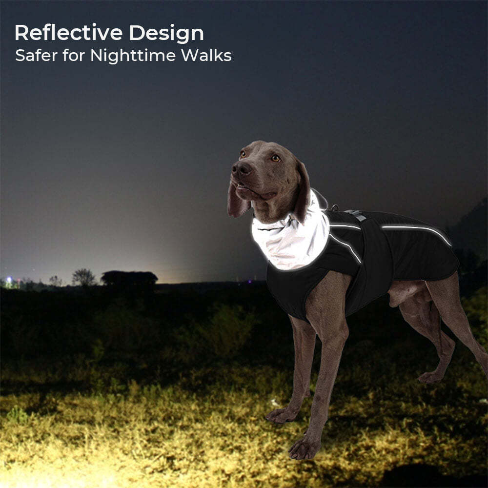 Waterproof Jacket Warm High Collar Reflective Dog Clothes