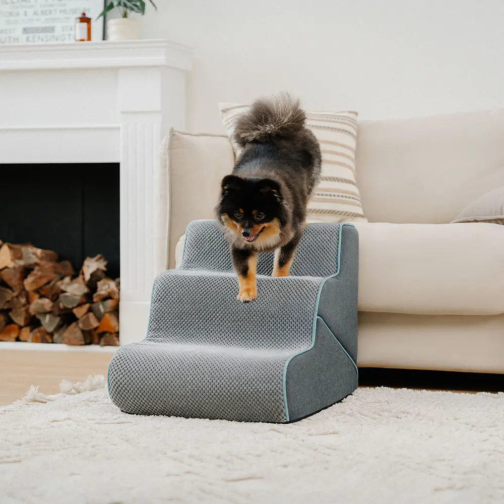 Multifunctional 2-in-1 Foldable Dog Steps with Ramp Mode