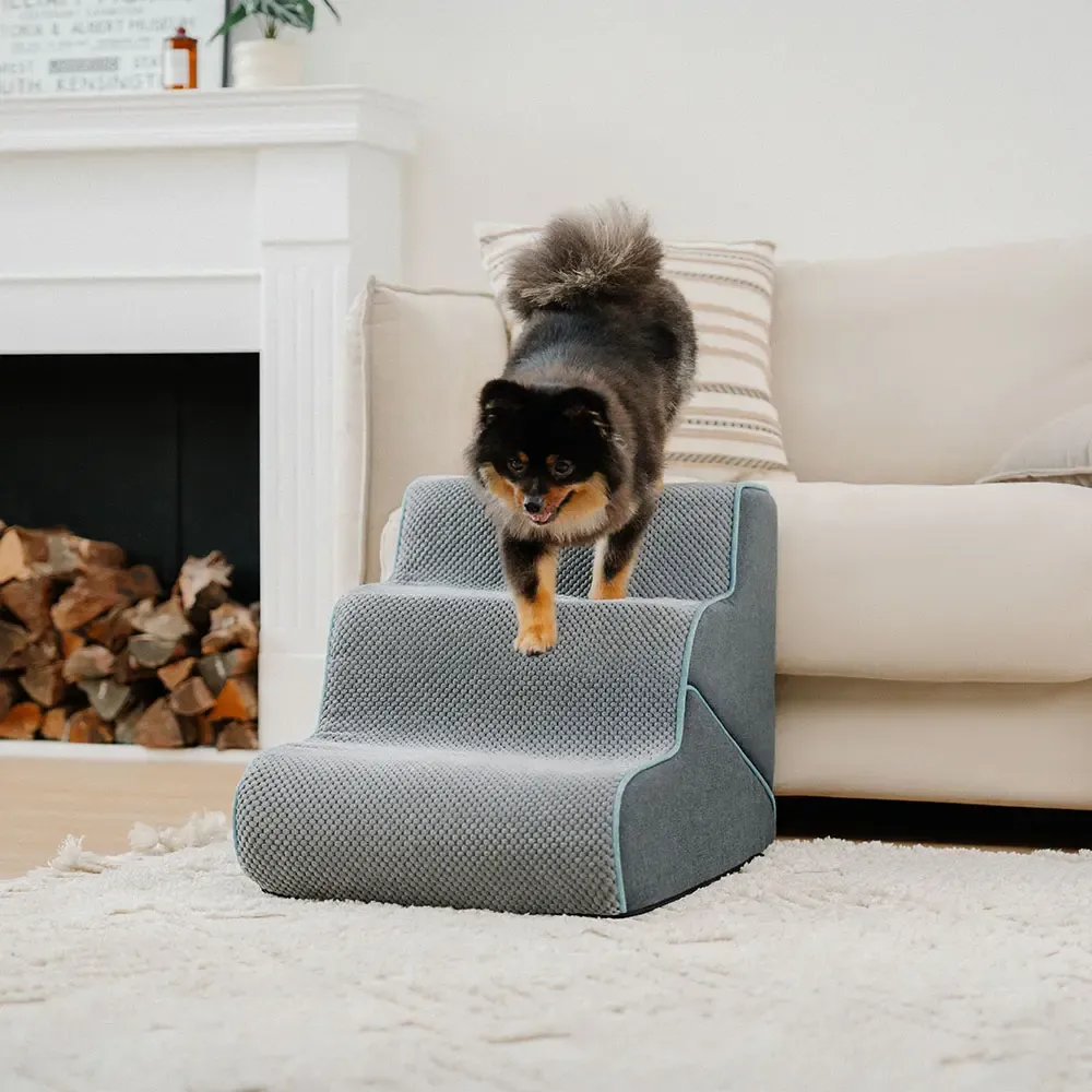 Multifunctional 2-in-1 Foldable Dog Steps with Ramp Mode