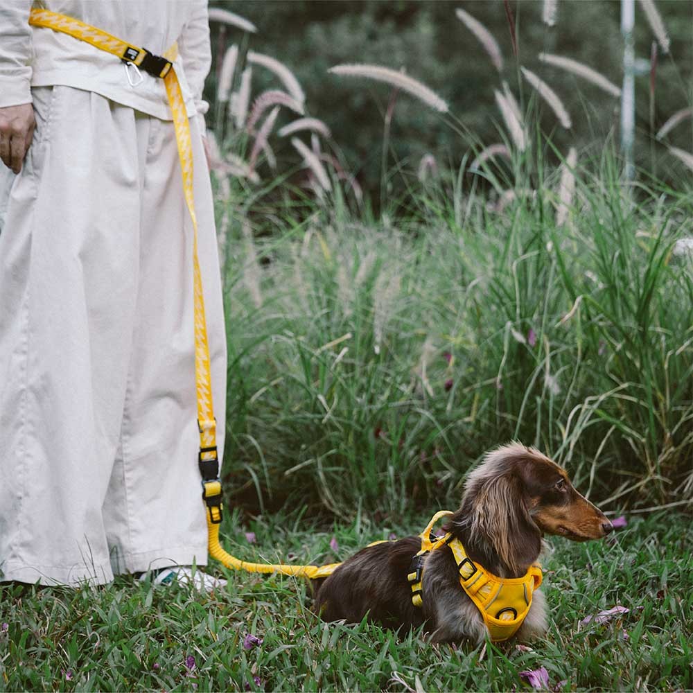 Dual-sided Reflective Adjustable Versatile Soft Handle Nylon Large Dog Leads - Flexi Walker