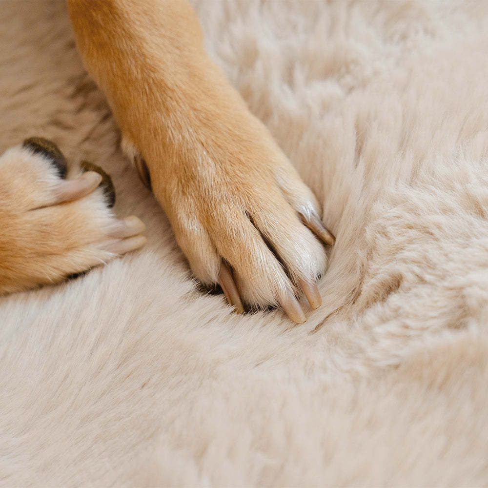 Fluffy Cosy Calming Pet Blanket Car Seat Protector Cover - Sure step