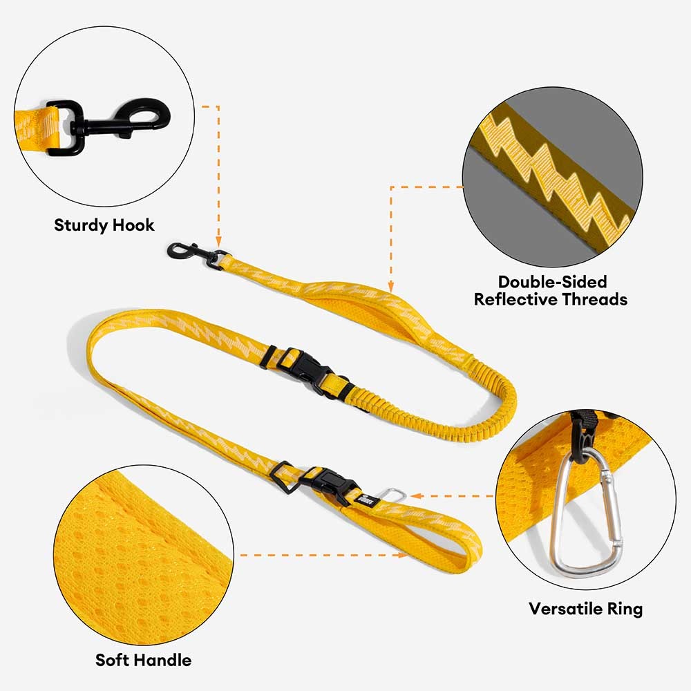 Dual-sided Reflective Adjustable Versatile Soft Handle Nylon Large Dog Leads - Flexi Walker