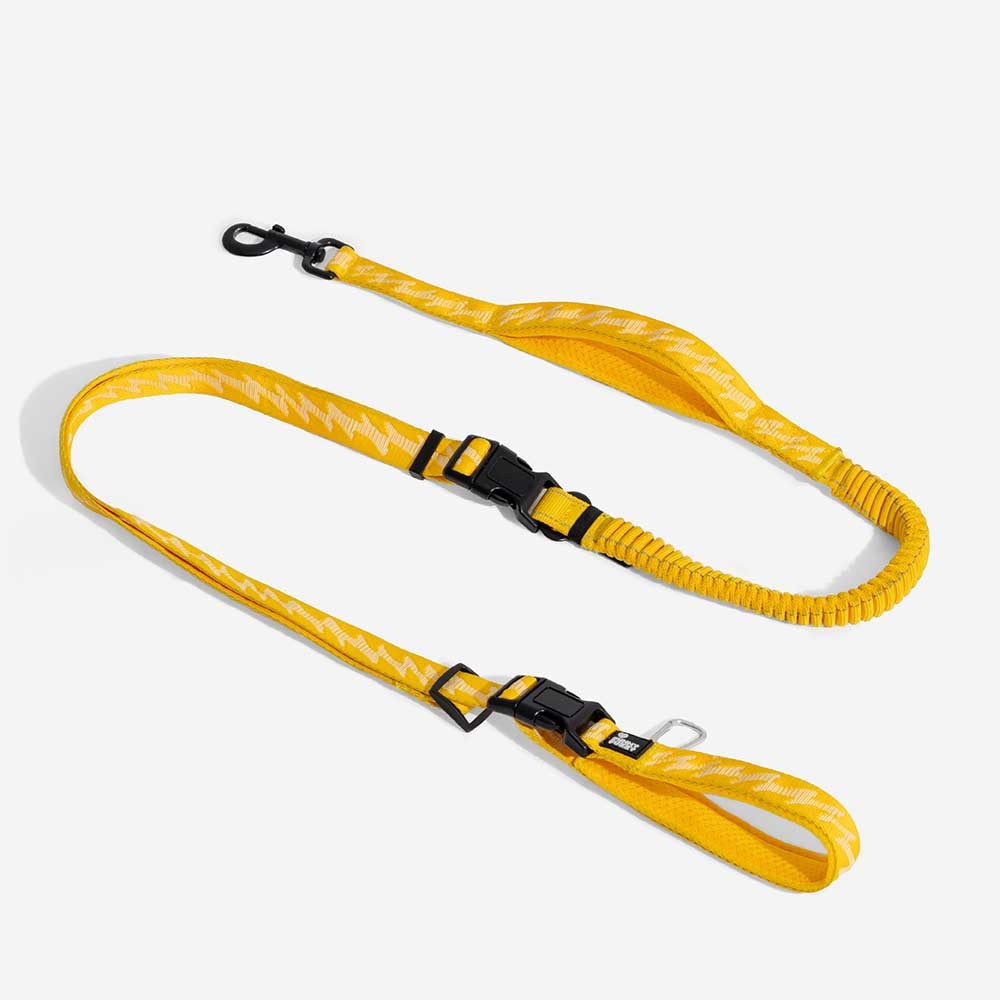 Dual-sided Reflective Adjustable Versatile Soft Handle Nylon Large Dog