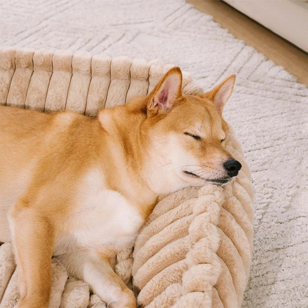 Plush Warmth Removable Orthopaedic Wedge Bolster Dog Sofa Bed - CosySlope