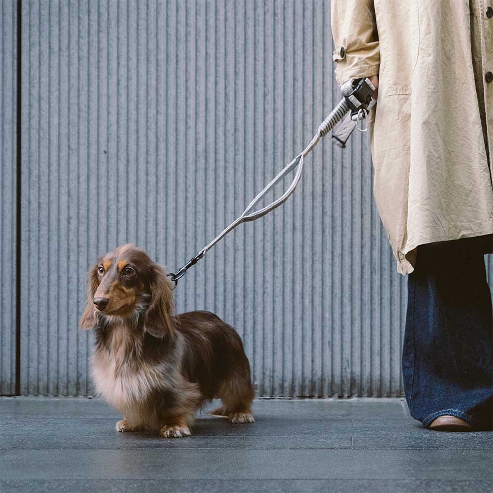 Dual-sided Reflective Adjustable Versatile Soft Handle Nylon Large Dog Leads - Flexi Walker