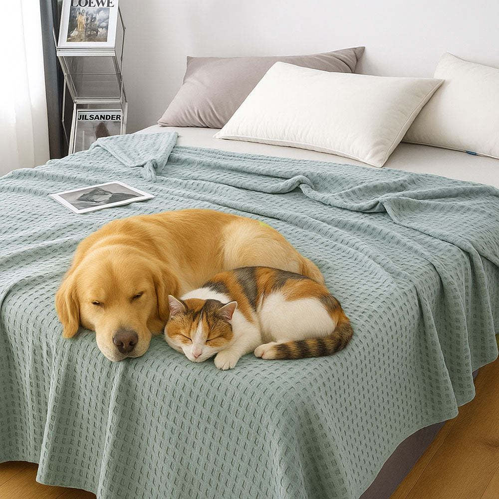 All-Season Lightweight Breathable Cotton Waffle Throw Blanket for Pets & People