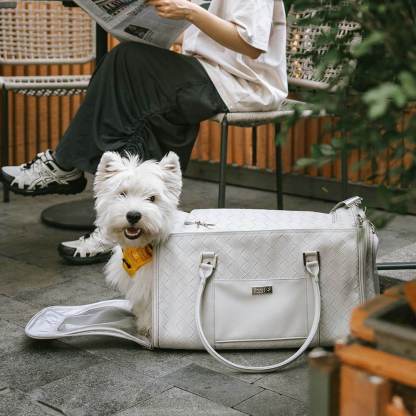Luxury Multi-Functional Breathable Woven Leather Pet Carrier – The City Companion