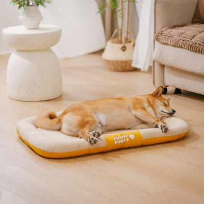 Outdoor Waterproof & Scratch-Resistant Colour-blocked Orthopaedic Dog Mat - Trek Lounge