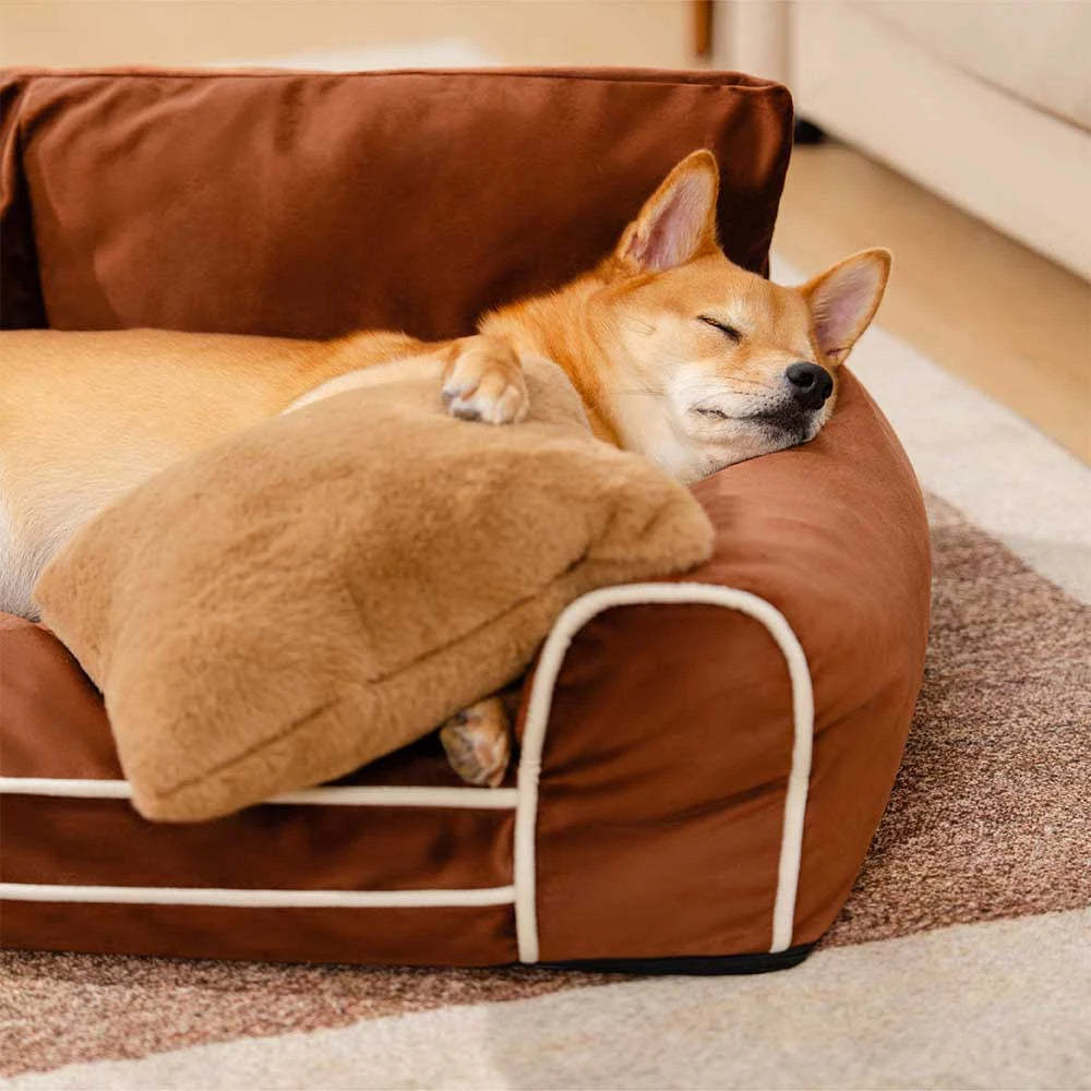 Deluxe Silk Velvet Removable Bolster Orthopaedic Dog Bed With Pillow - RegalRest