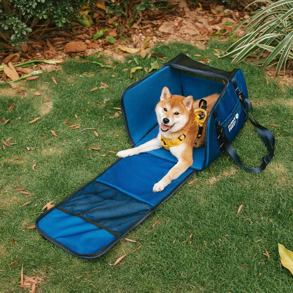 Lightweight Waterproof Safety Dog Booster Car Seat & Pet Carrier - Gympet