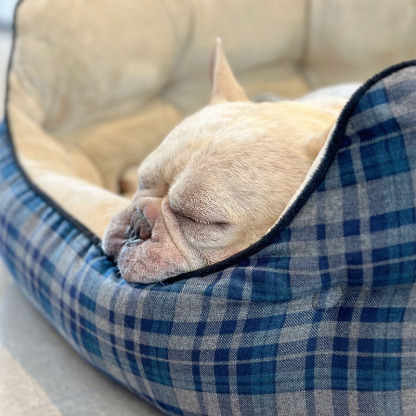 Blue Plaid Cosy Pet Bed Calming Dog Bed