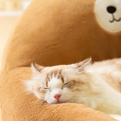 Comfy Calming Pet Bed Adorable Dog & Cat Sofa Bed
