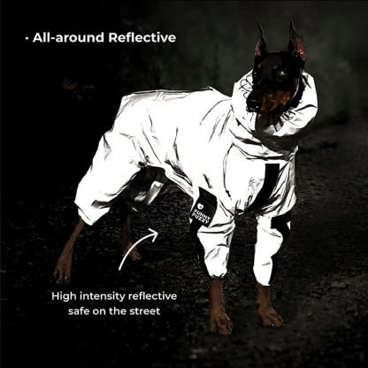 Reflective All-weather Waterproof Space Coat Dog Rain Coat