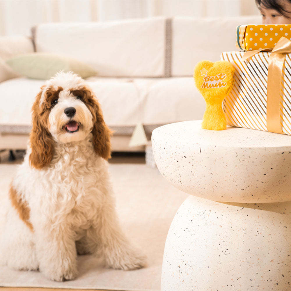 Free Gift - Best Mum Trophy