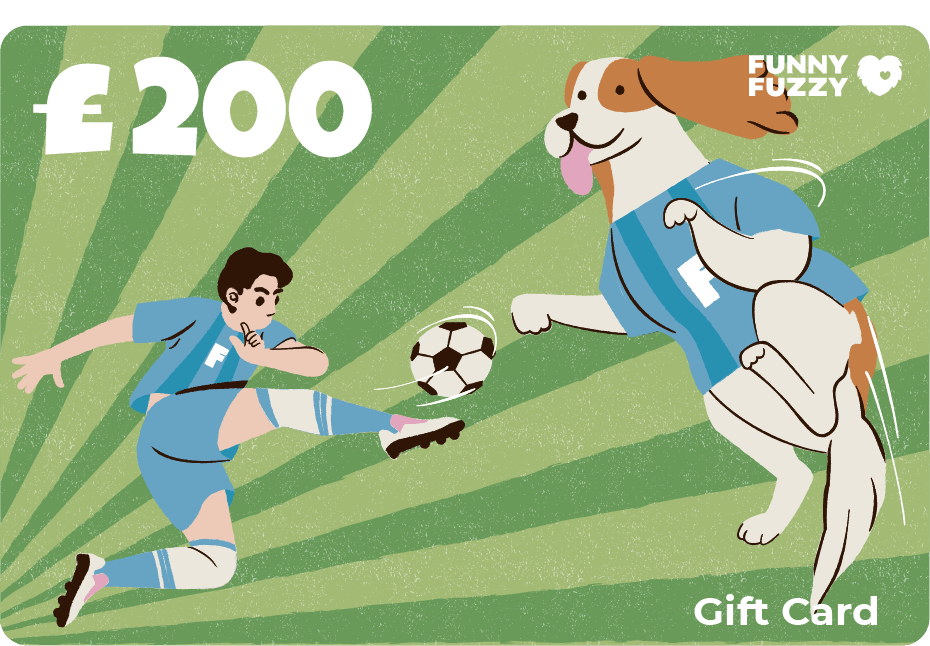 2024 FunnyFuzzy UK Gift Card
